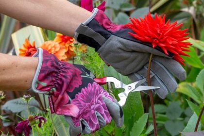 Gardener Essentials