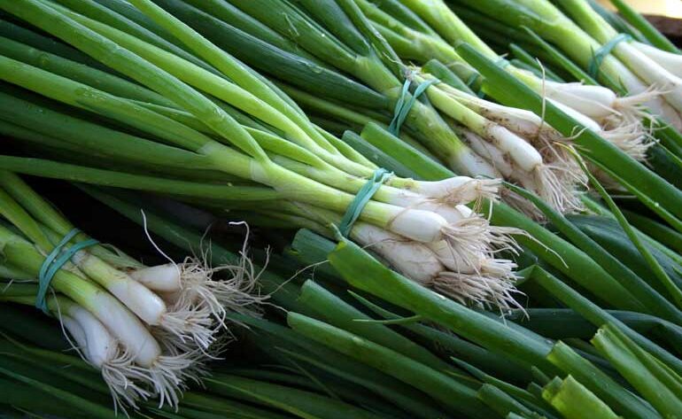 How to grow spring onions