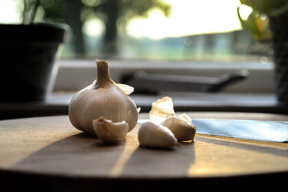 How To Grow Garlic