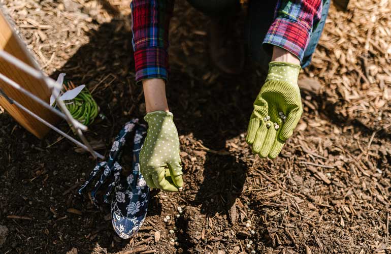 Why Does Mulch Smell?