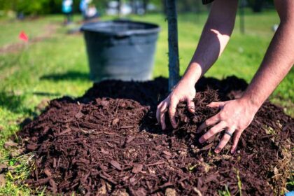 Why Does Mulch Smell?