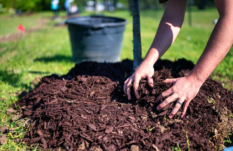 Why Does Mulch Smell?