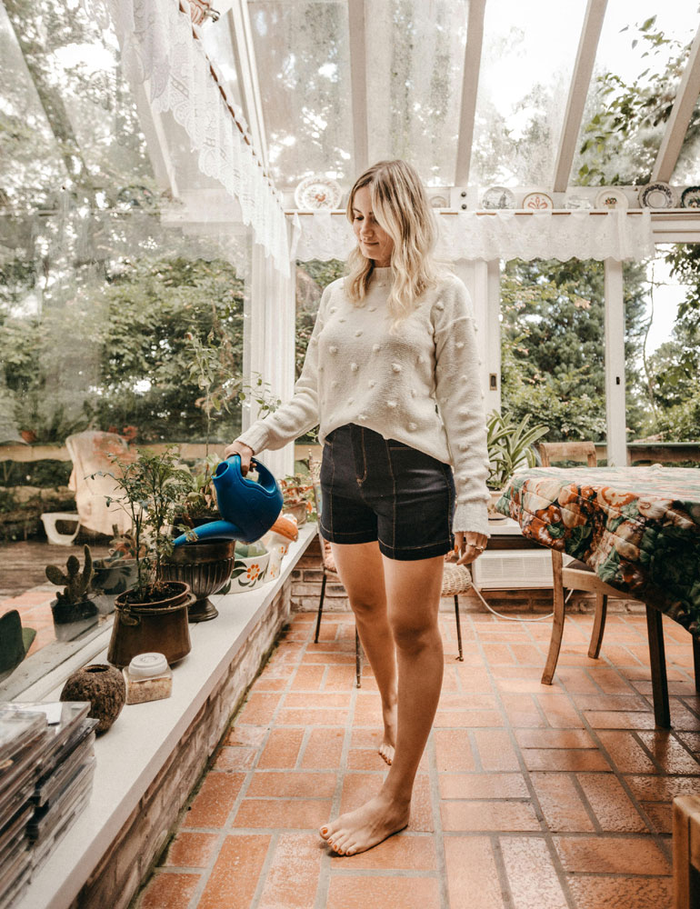 Best Plants For Conservatory