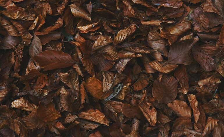 How to Get Leaves Out of Mulch