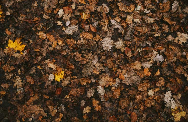 How to Get Leaves Out of Mulch