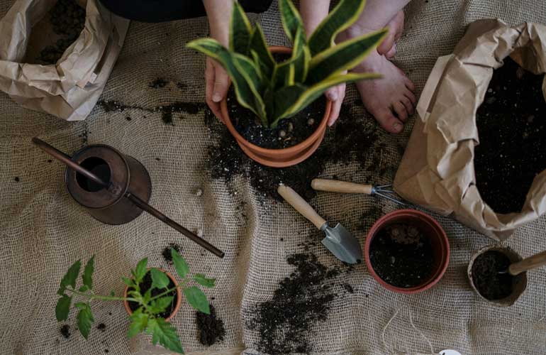 Gardening Business