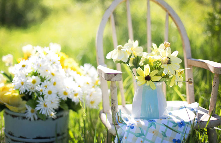 Get Into Gardening